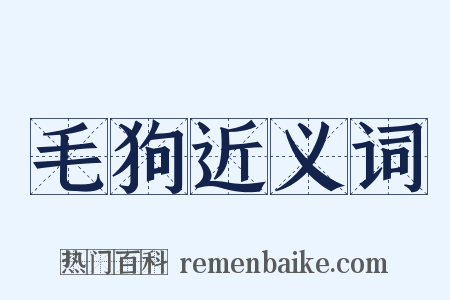 毛狗近义词是什么意思的图片